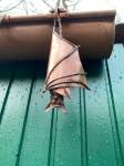 Fledermaus h�ngend