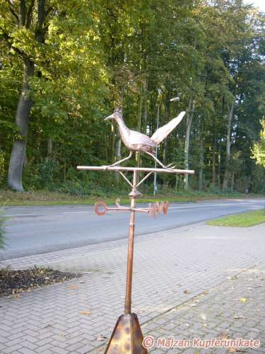 Wetterfahne Rennkuckuck
