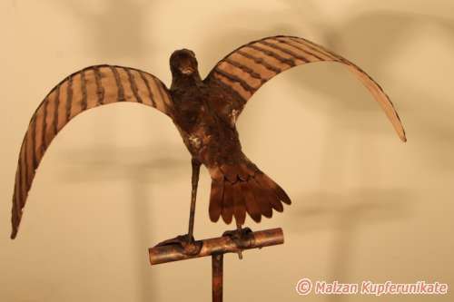 M�we R�ckansicht