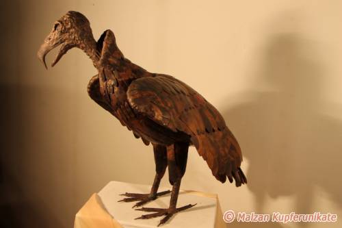 Bartgeier, naturgetreu