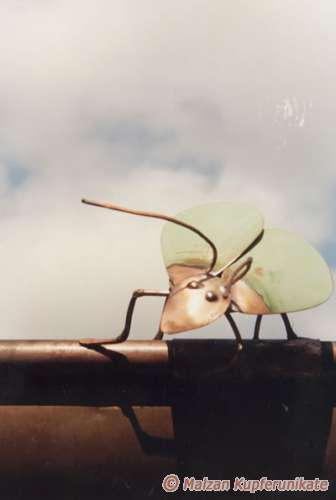 K�fer - Dachschmuck