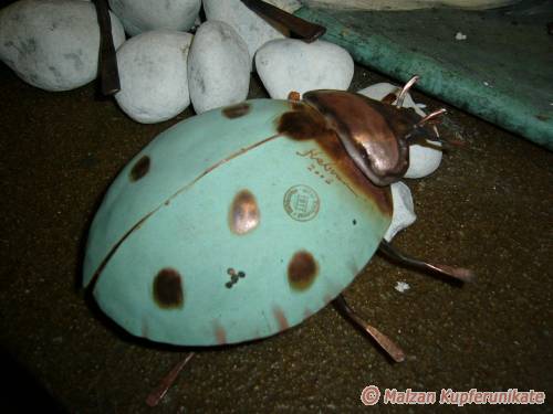 Gl�ckspunkt-K�fer